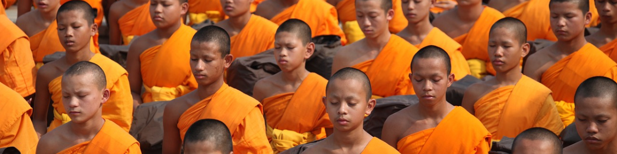 Read more about the article The Effects of Meditation on the Brain: Insights from MRI Scans of Tibetan Monks